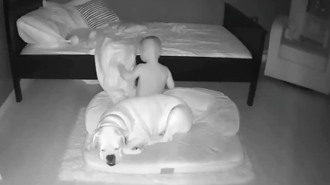 ⁣They discovered the reason their son never slept in his own bed