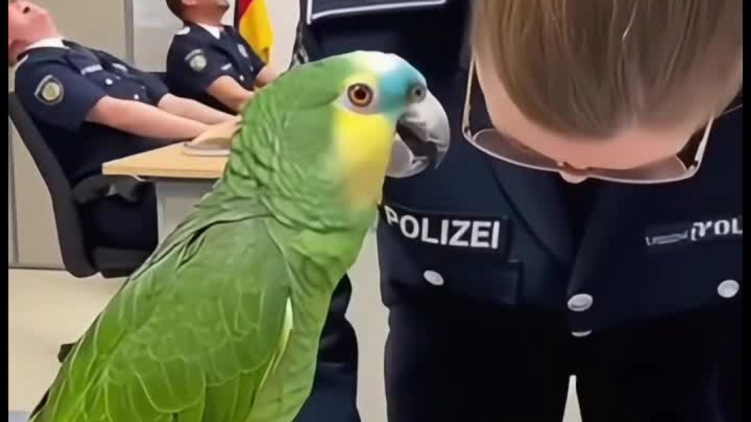 ⁣Ein Heiratsantrag in der Polizeiwache