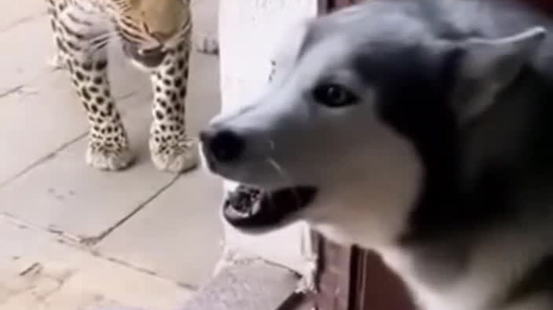 ⁣It's always the orange one 🤣