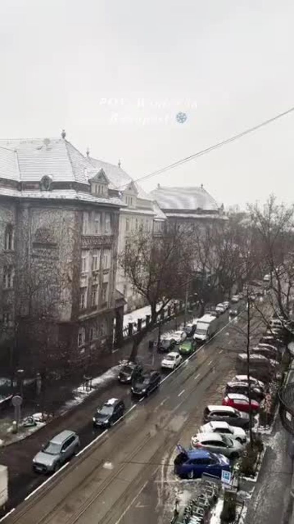 Christmas in Budapest