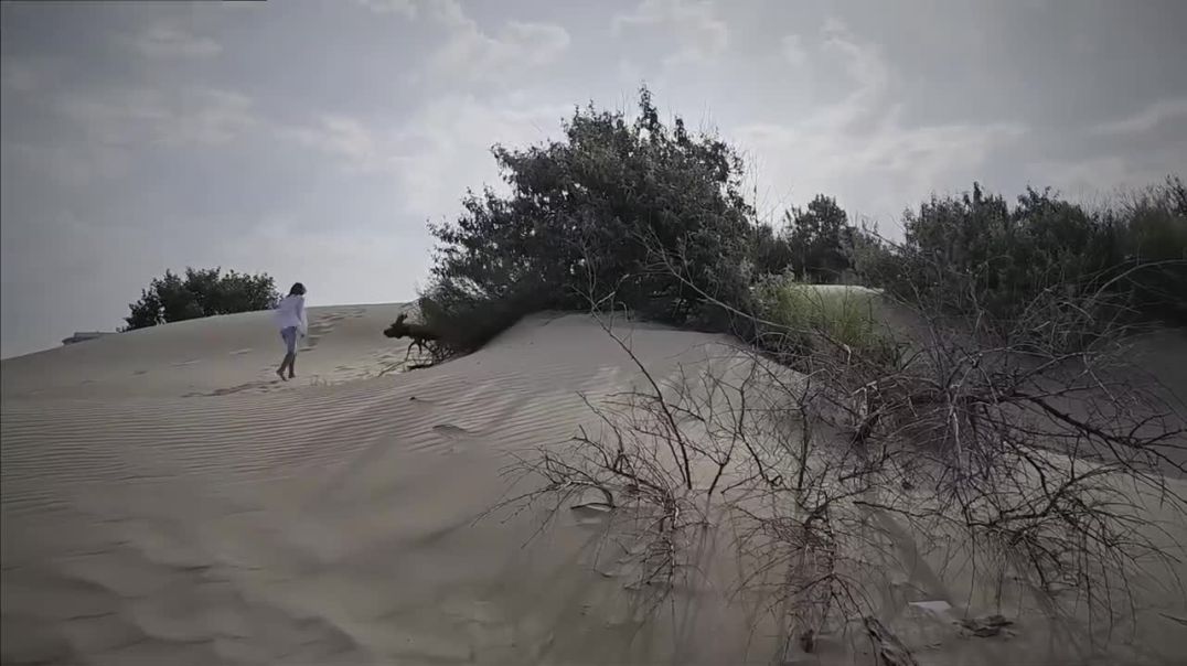 ⁣Let me go free (subtitled)