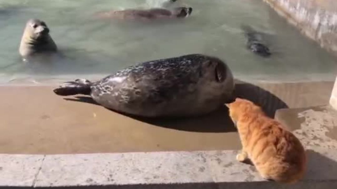 ⁣The Troublemakers of the Animal Kingdom: Mischief Makers with Noisy Mouths and Busy Hands